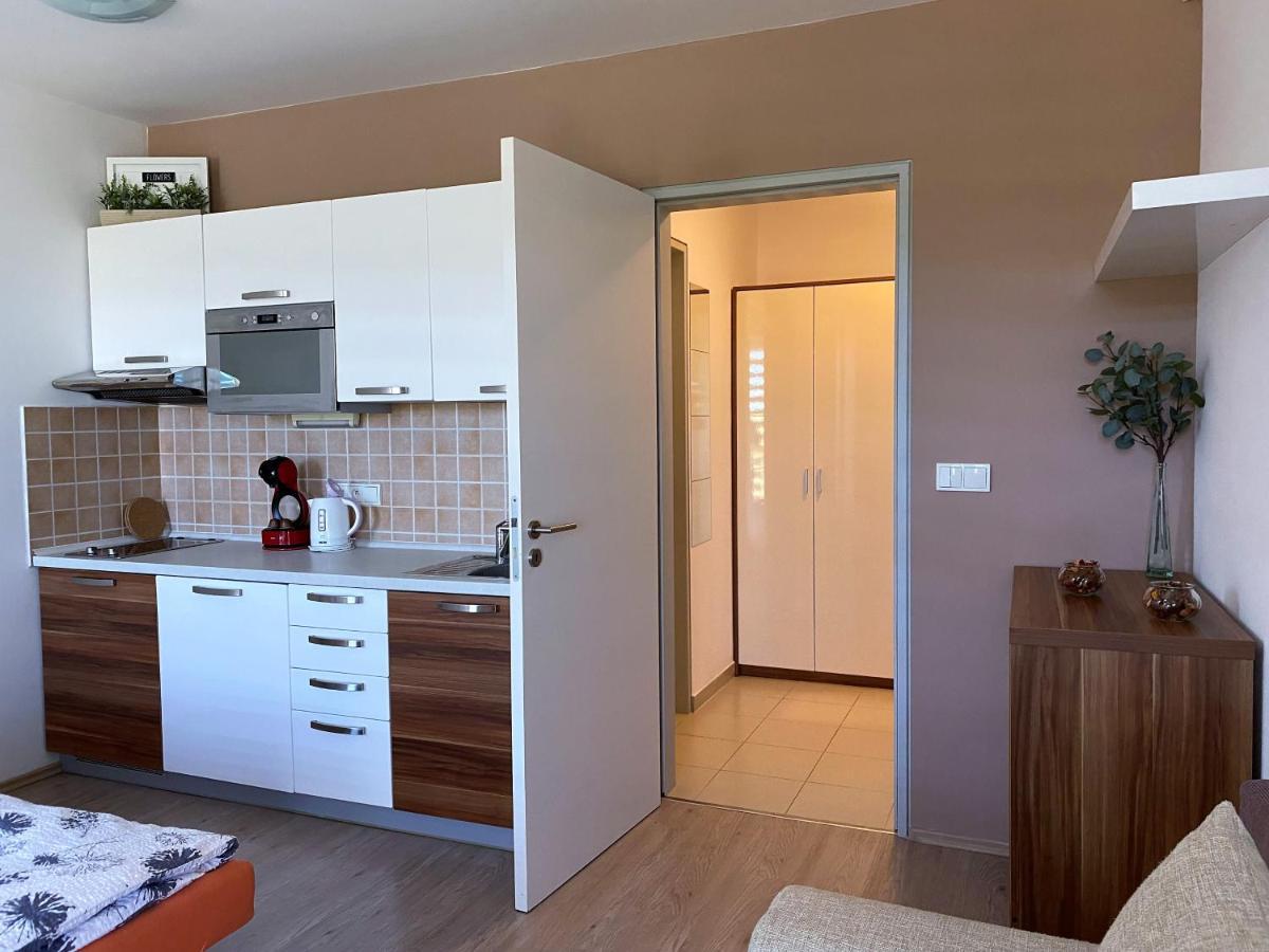 Miky Apartman Klinovec Meadow Loučná pod Klínovcem Exterior foto
