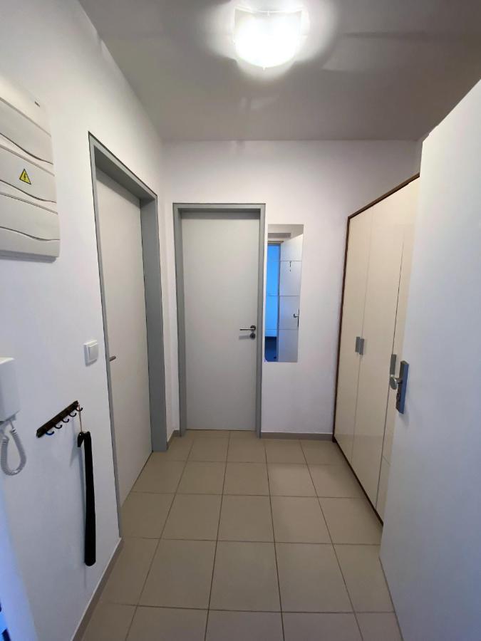 Miky Apartman Klinovec Meadow Loučná pod Klínovcem Exterior foto