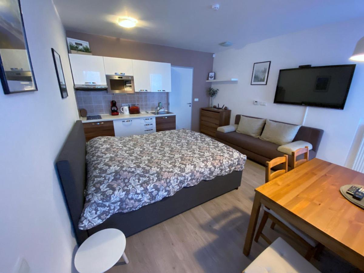 Miky Apartman Klinovec Meadow Loučná pod Klínovcem Exterior foto